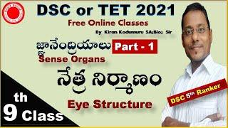 Sense Organs EYEDSC or TRT School assistantBiologyTET best free Online classes By Kiran Kodumuru