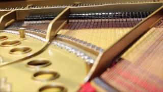 Antique Piano Shop Working on a Player Piano