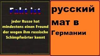 #жизньвГермании русский мат и русское происхождение есть ли плюсы?