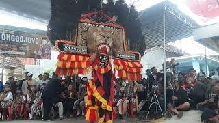 Solah Serekan Pembarong Reog Ponorogo Live di Desa Kalimalang Tempuran Gandukepuh Sukorejo Ponorogo