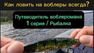 Скоростной троллинг рыбалка.Как найти и поймать достойную рыбу без дорогих эхолотов.