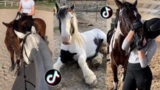 The Cutest HORSES Equestrian TikTok Compilation #173