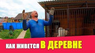 О БОЛИ В СПИНЕ  Встретил подписчиков  Коптим сало  Подготовка участка к продаже