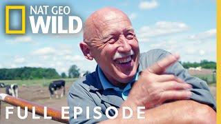 Incredible Dr. Pol A 200th Polapalooza Full Episode  The Incredible Dr. Pol