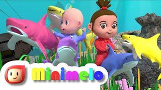 Baby Shark  Doo Doo Doo  Baby Shark Sing and Dance  Rhymes for babies   MiniMelo Nursery Rhymes