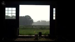  Farm Ambient Sounds with Birds Cattle and Rain on a Barn Roof. Perfect Ambience for Relaxation.
