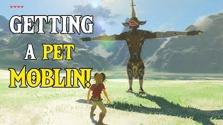 Link Gets a Pet MOBLIN  Zelda Breath of the Wild