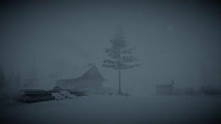 Heavy Blizzard Storm at Night┇Howling Wind & Blowing Snow┇Sounds for Sleep Study & Relaxation