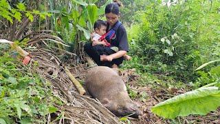 A 15-year-old single mother was surprised by an unfortunate wild boar