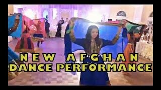 New Afghan Dance Performance 2019  Shik Shak Shok Arab Dance Arabic