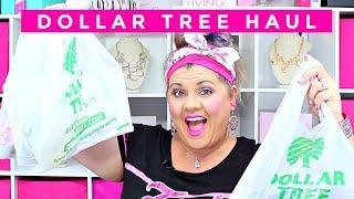 DOLLAR TREE HAUL 10 3