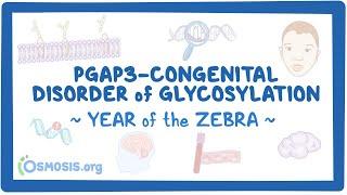 PGAP3-congenital disorder of glycosylation Year of the Zebra