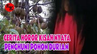 CERITA HOROR KISAH NYATA  PENUNGGU POHON DURIAN