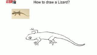 How to draw a Lizard - Easy drawing - Art for kids- primary school of art