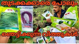 ഞാൻ കൃഷിക്ക് ഉപയോഗിക്കുന്ന വിത്ത് ഇനങ്ങൾ good quality seeds for farming