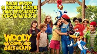 Kisah Burung Platuk Yang Bersahabat Dengan Manusia  Alur Cerita Film Woody Woodpecker Goes to Camp