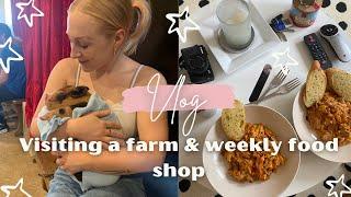 VLOG  HOLDING BABY ANIMALS & FOOD SHOP  EMILY ROSE