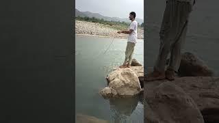 how to use fishing net #shorts #shortsfeed #shortsfishing