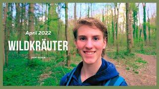 Einfache essbare Wildpflanzen im April  Wildkräutertour 2022 