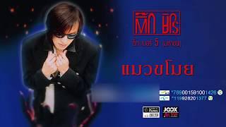 แมวขโมย - ติ๊ก ชิโร่  Official Audio 