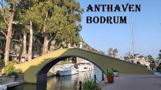 Anthaven Aspat  Bodrum III