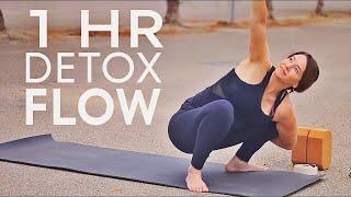 1 Hour Yoga Flow Vinyasa Class Detox Twists  Fightmaster Yoga Videos