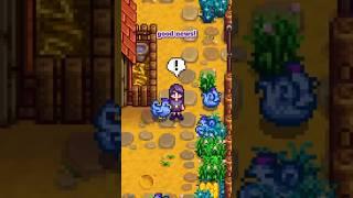 Clearing Up Some Major Misconceptions in Stardew Valley #stardew