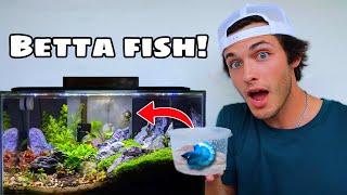 Buying FIRST FISH TANK