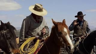 Ranching The Endangered West  Modern Cowboy Documentary