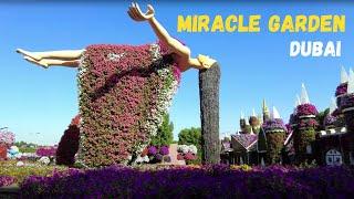 4K Dubai Miracle Garden 2023 - The Worlds Largest Natural Flower Garden