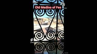 Morocco Travel Guide  Beautiful places to visit in Morocco  Old Medina #fes #morocco #shorts