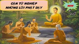 Thế Nào Là Cận Tử Nghiệp Rất Hay