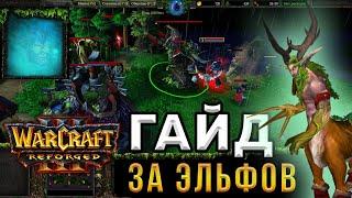 Гайд За ЭЛЬФОВ для НОВИЧКОВ - WarCraft 3Reforged - Как играть за НОЧНЫХ ЭЛЬФОВ в ВАРКРАФТ 3