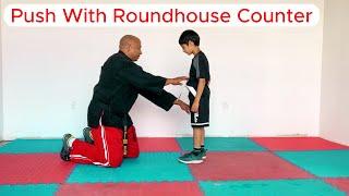 Roundhouse Kick Tutorial  Roundhouse Kick Counter  #martialarts #karate #selfdefense #capoeira