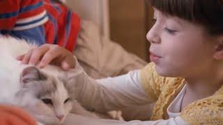 Kayıp kedi  Topsy & Tim  Türk Çocuk Çizgi Filmleri  WildBrain Türkçe