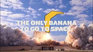 Equifruit Fairtrade Bananas - The only banana to go to space 