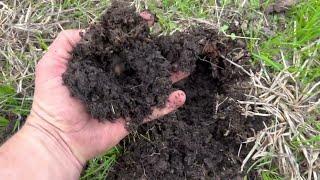 Regenerative Agriculture How We Improve Soil Quickly without Costly Equipment