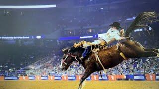 31023.  Houston Livestock Show & Rodeo