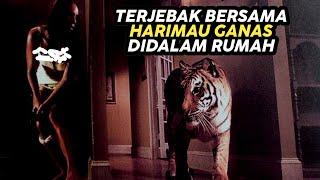 Gadis Cantik Yang Terjebak Bersama Harimau Didalam Rumah Yang Terkunci Dari Luar - Alur Cerita Film