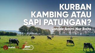 Lebih Utama Kurban Kambing atau Sapi Patungan? - Ustadz Ammi Nur Baits