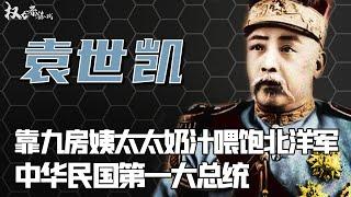 83天皇帝梦做的有多爽？从能臣到民贼，一瓢人奶、一根参、用九房姨太合力玩残摄政王退位，从此大权独揽，民国第一总统的“流氓往事”