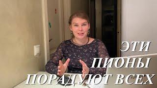 Пять пионов которые не оставят вас равнодушными