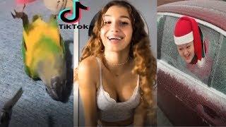 Tik Tok Memes That Should Not Exist