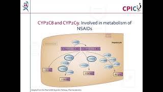 CPIC guideline for non-steroidal anti-inflammatory drugs NSAIDs and CYP2C9 - no recommendations