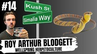 HOW THE PHILOSOPHY OF REPTILE KEEPING IS CHANGING  KUSHS KORNER LIVE