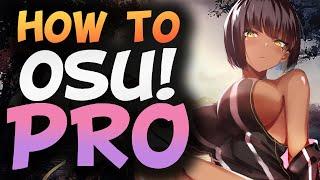 5 Tips to Be an Osu Pro FAST  A Very Serious Guide to Osu Improvement