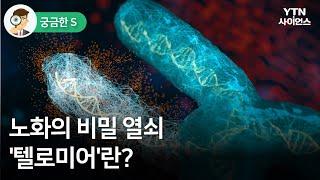 궁금한S 노화의 비밀 열쇠 텔로미어란?  YTN 사이언스