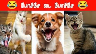 டேய் மச்சி chicken வச்சி இருக்க மேல வாடா #viral #trending #comedy #funnyanimalvideos