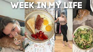 WEEK IN MY LIFE VLOG starting our wedding invitations what I eat in a week kitten updates & MORE