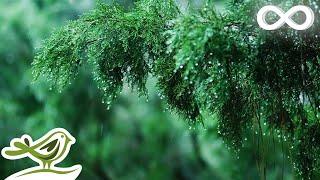 Calming Piano Music with Rain & Thunder Sounds for Sleep or Relaxing • Rainy Day